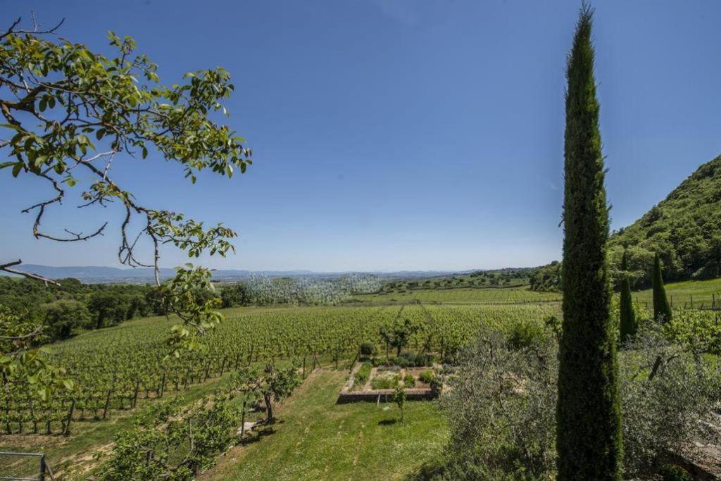 Bed and Breakfast Abbadia Wine Relais Montefollonico Zewnętrze zdjęcie