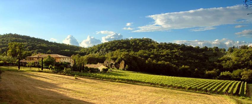 Bed and Breakfast Abbadia Wine Relais Montefollonico Zewnętrze zdjęcie
