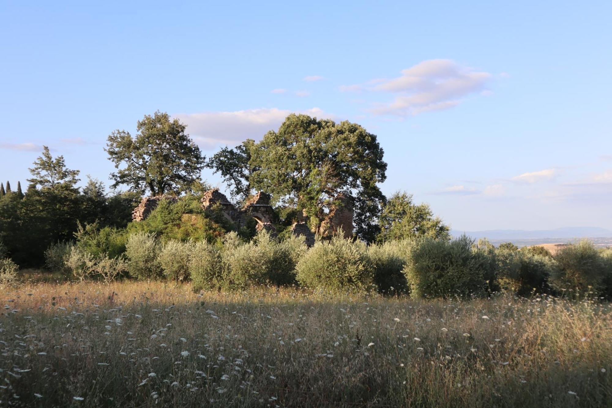 Bed and Breakfast Abbadia Wine Relais Montefollonico Zewnętrze zdjęcie