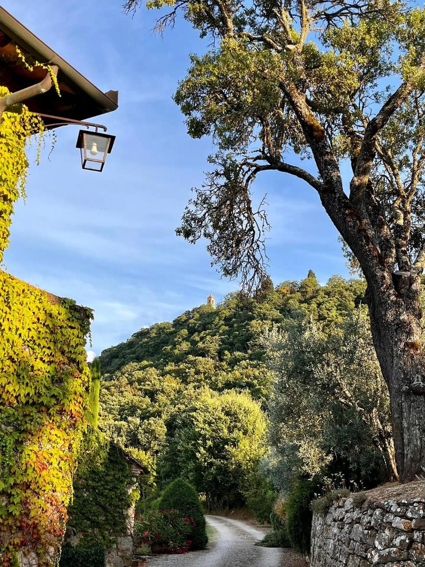 Bed and Breakfast Abbadia Wine Relais Montefollonico Zewnętrze zdjęcie